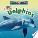 Dolphins cover