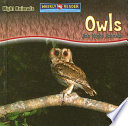 Owls Are Night Animals cover