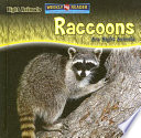 Raccoons Are Night Animals cover