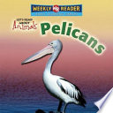 Pelicans cover