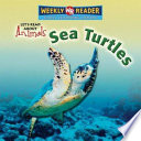 Sea Turtles cover