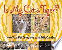 Is My Cat a Tiger? How Your Pet Compares to Its Wild Cousins cover