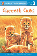 Cheetah Cubs cover