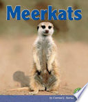 Meerkats cover