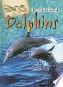 The Secret Lives of Dolphins cover