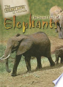 The Secret Lives of Elephants cover