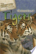 The Secret Lives of Tigers cover