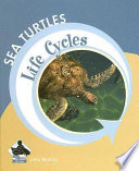 Sea Turtles cover