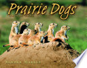 Prairie Dogs cover