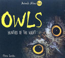 Owls: Hunters of the Night cover