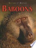 Baboons cover