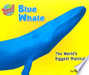 Blue Whale: The World's Biggest Mammal cover