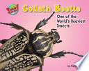 Goliath Beetle: One of the World's Heaviest Insects cover