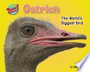 Ostrich: The World's Biggest Bird cover
