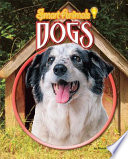 Dogs cover