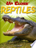 Reptiles cover
