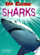 Sharks cover