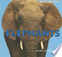 Elephants cover