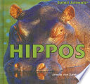 Hippos cover