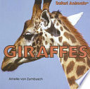 Giraffes cover