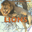 Lions cover