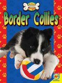 Border Collies cover