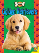Golden Retrievers cover