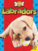 Labradors cover
