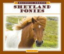 Shetland Ponies cover