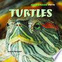 Turtles cover