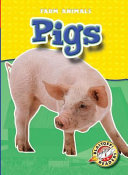 Pigs cover