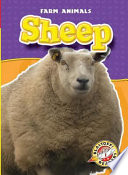 Sheep cover
