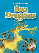 Sea Dragons cover