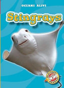 Stingrays cover