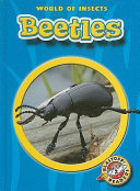 Beetles cover