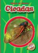 Cicadas cover