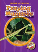 Praying Mantises cover