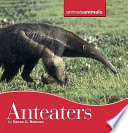 Anteaters cover