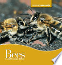 Bees cover