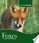 Foxes cover