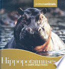 Hippopotamuses cover