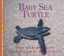 Baby Sea Turtle cover