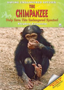 The Chimpanzee: Help Save This Endangered Species! cover