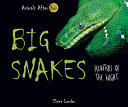 Big Snakes: Hunters of the Night cover