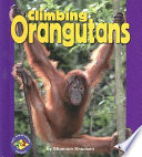 Climbing Orangutans cover