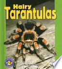 Hairy Tarantulas cover