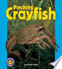 Pinching Crayfish cover