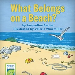 What Belongs on a Beach? cover