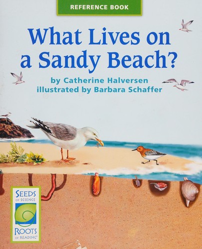 What Lives on a Sandy Beach? cover