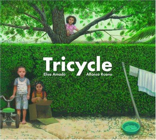 Tricycle cover